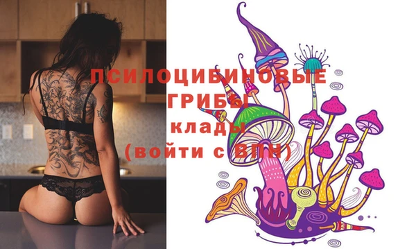 круглые Магас