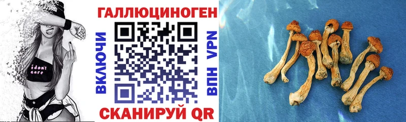 Галлюциногенные грибы Psilocybine cubensis  купить наркотик  Нижняя Салда 